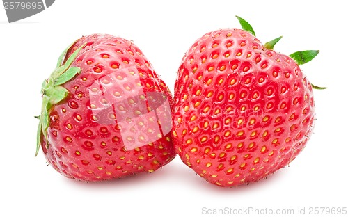 Image of Strawberry
