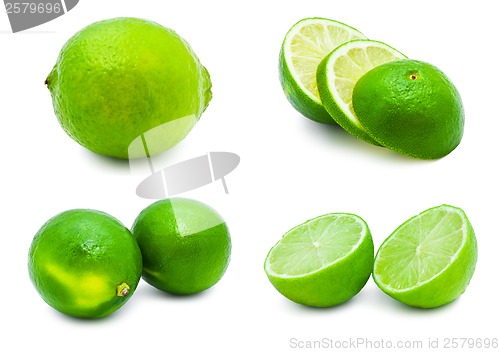 Image of Lime