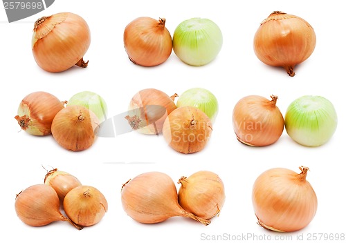 Image of Onion