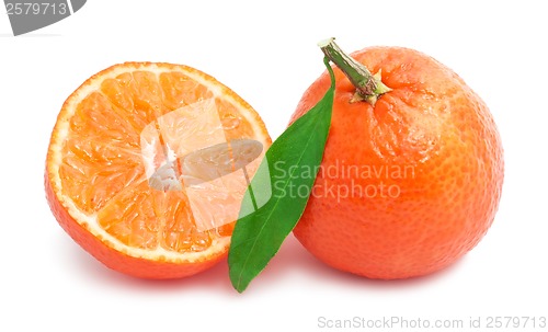 Image of Tangerines