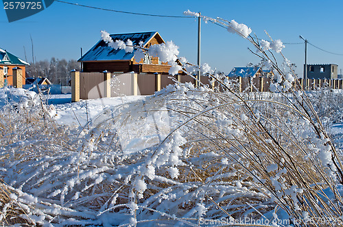 Image of Winter.