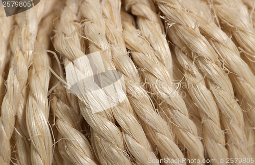 Image of solid twine