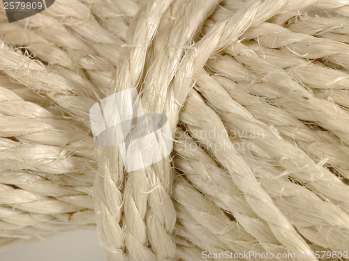 Image of solid twine