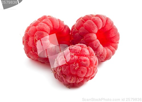 Image of Fresh raspberries