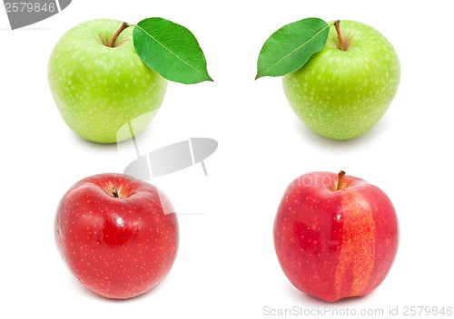Image of Apples