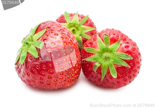 Image of Strawberry