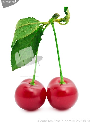 Image of Red cherry