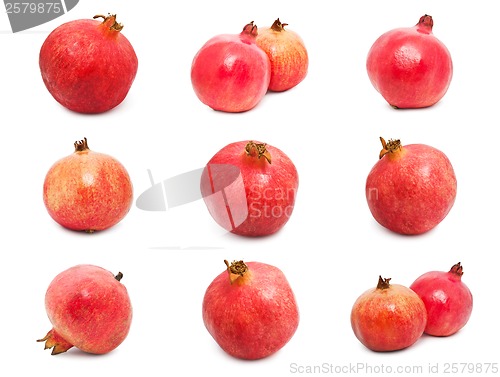 Image of Pomegranates