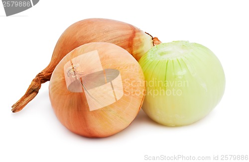 Image of Onion