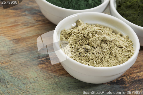 Image of kelp seaweed powder