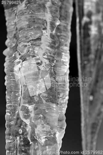 Image of Icicle closeup