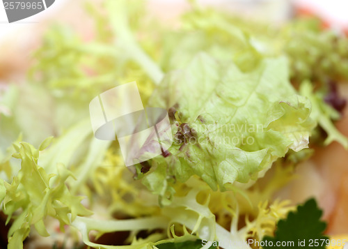 Image of green salad