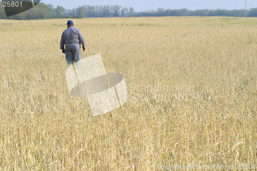 Image of farmer in the field