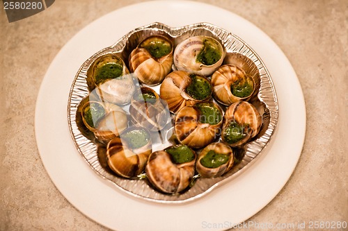 Image of Close up of Escargots with garlic butter