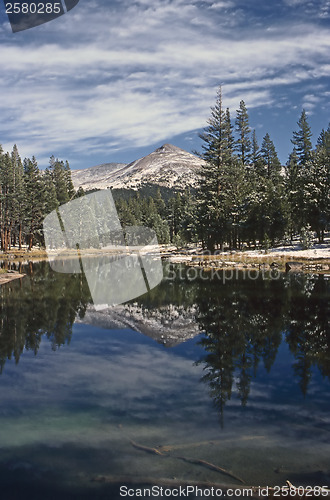 Image of Yosemite National Park