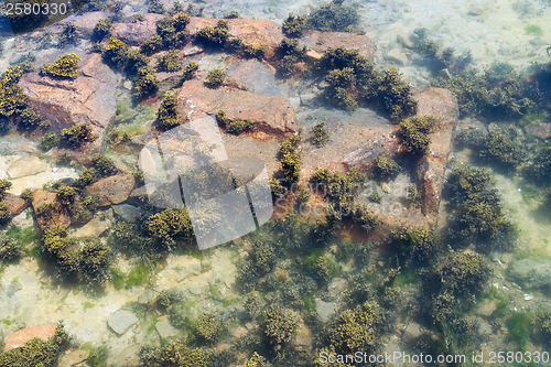 Image of ebb tide detail