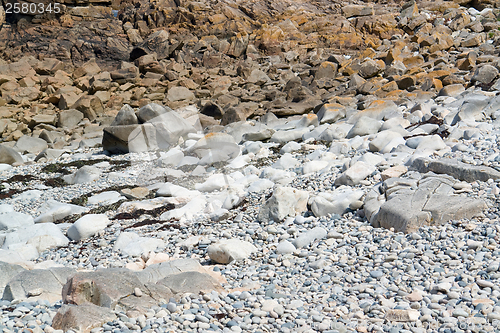 Image of rocky coast detail