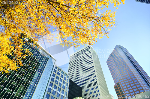 Image of autumn view of a city skyline