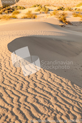 Image of Death Valley Desert