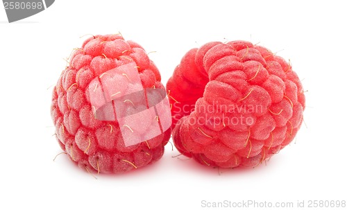 Image of Fresh raspberries