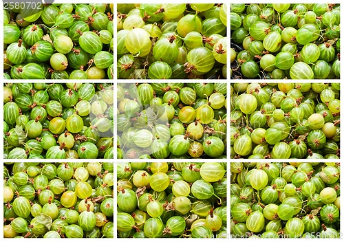 Image of Gooseberries