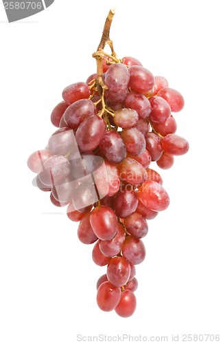 Image of Grapes
