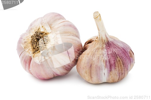 Image of Garlic