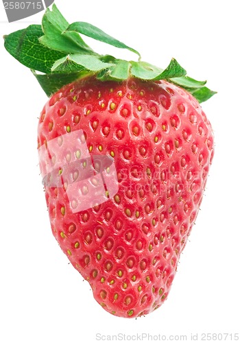 Image of Strawberry