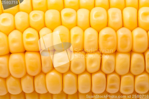 Image of Corn