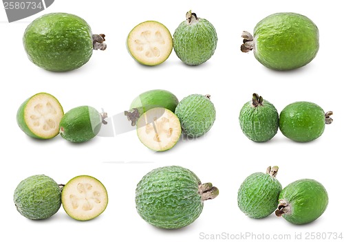 Image of Feijoa