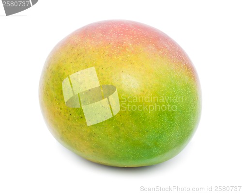 Image of Mango