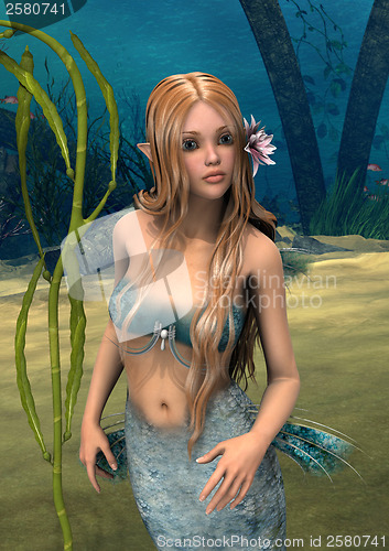 Image of Mermaid