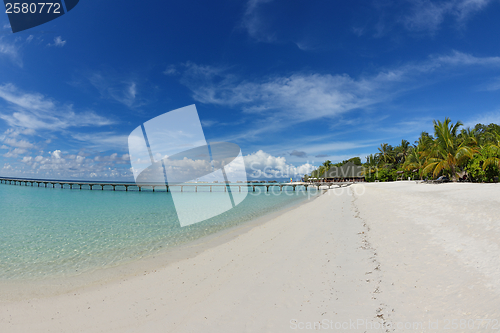 Image of tropical beach