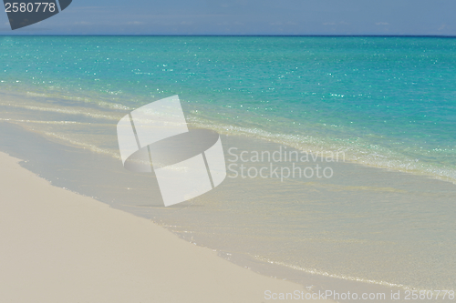 Image of tropical beach