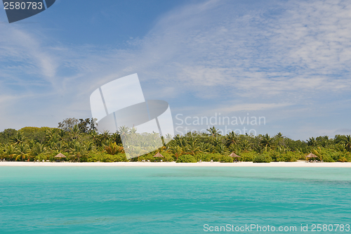 Image of tropical beach