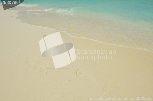 Image of tropical beach