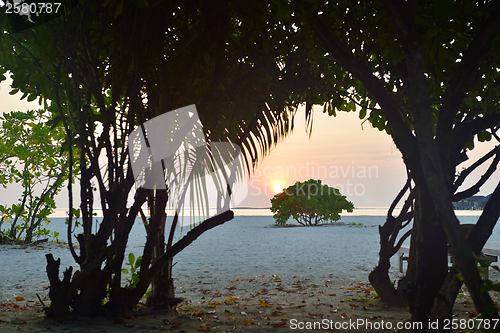 Image of tropical beach