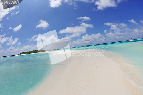 Image of tropical beach