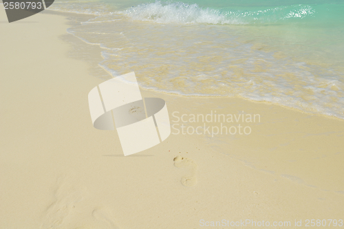 Image of tropical beach