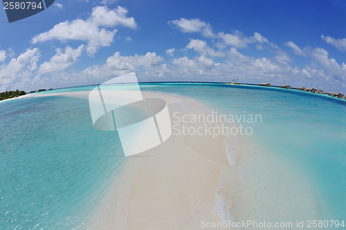 Image of tropical beach