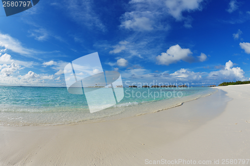 Image of tropical beach