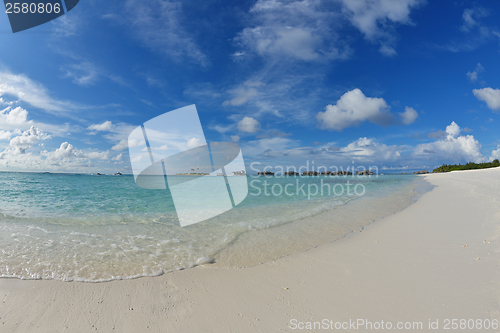 Image of tropical beach