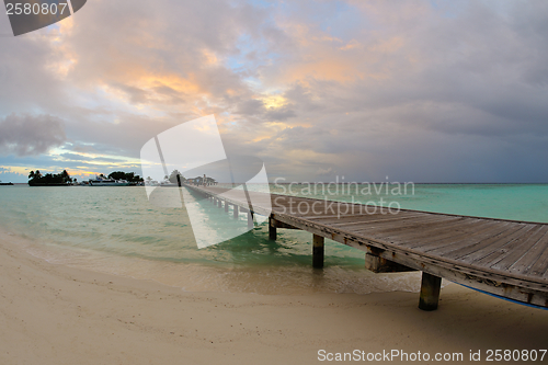 Image of tropical beach