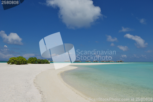 Image of tropical beach