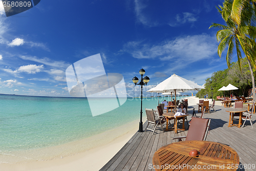 Image of Beautiful young woman with a drink by the sea