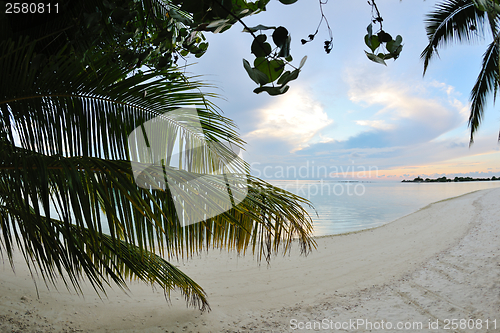 Image of tropical water home villas