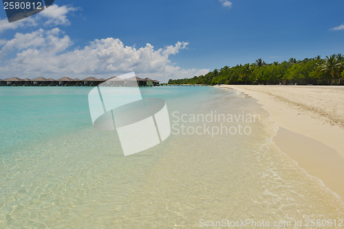 Image of tropical beach