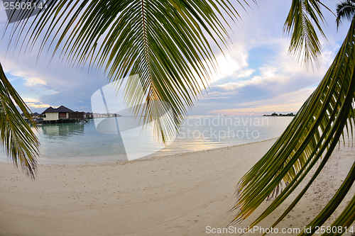 Image of tropical beach