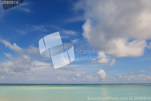 Image of tropical beach