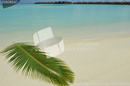 Image of tropical beach